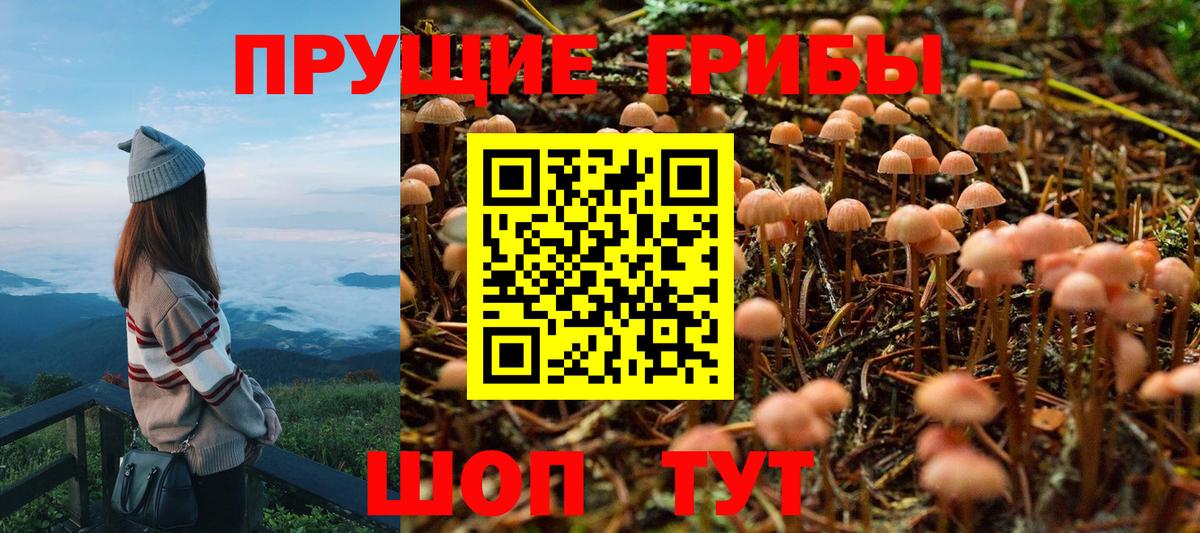 Галлюциногенные грибы Psilocybe  Вход с VPN  Джанкой 